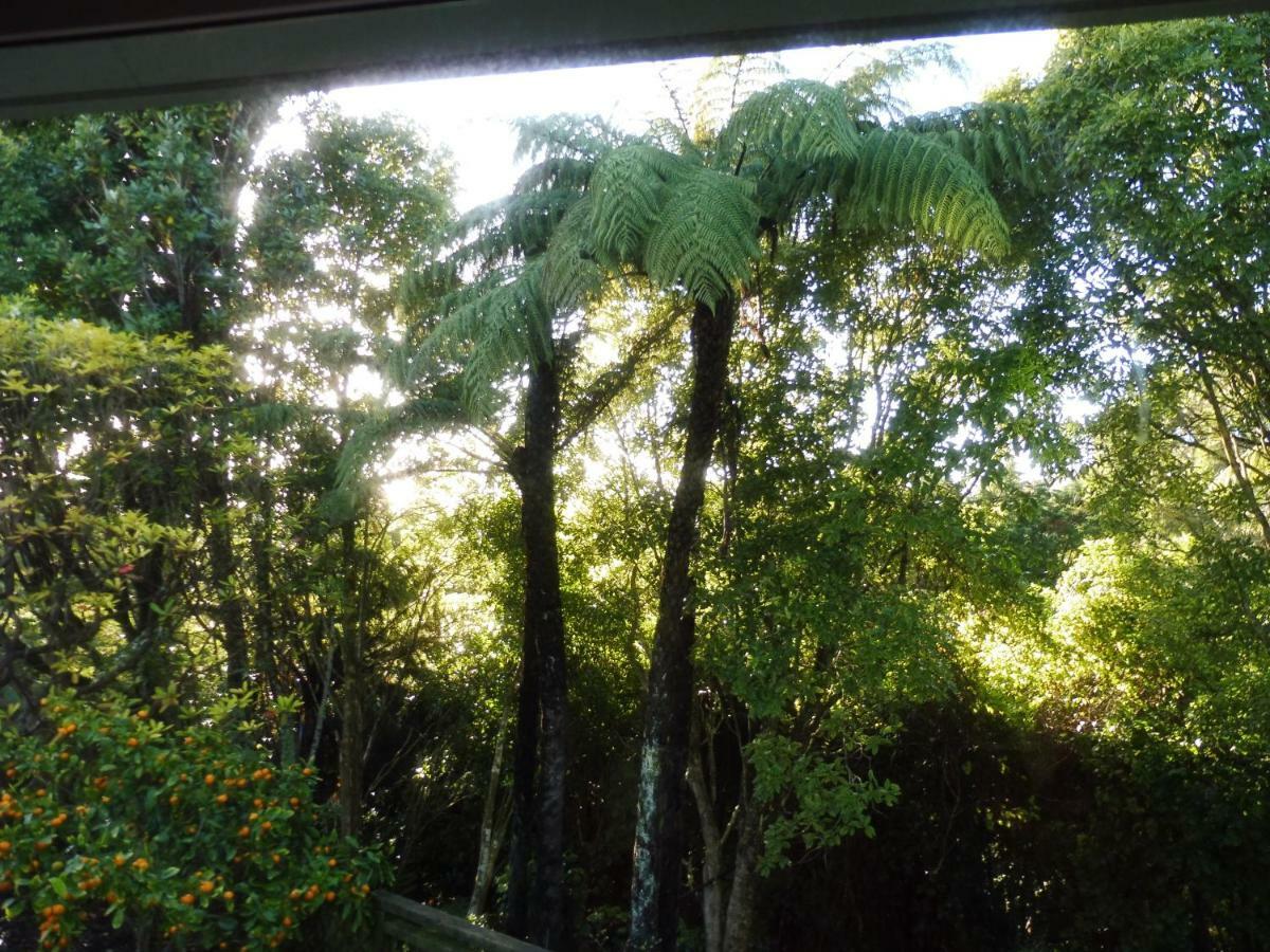 Hideaway Off Heta Apartment New Plymouth Exterior photo
