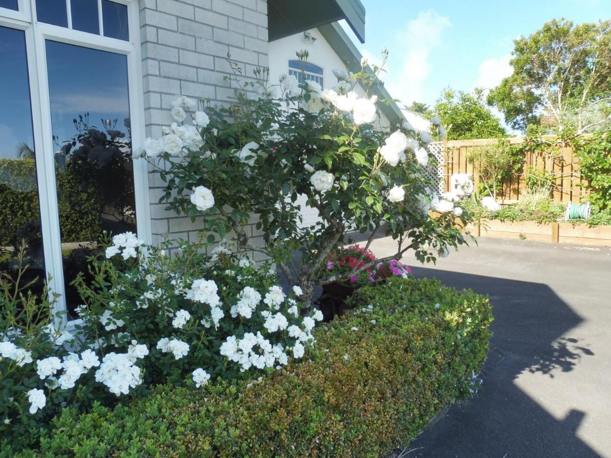 Hideaway Off Heta Apartment New Plymouth Exterior photo